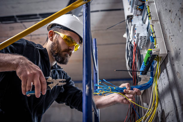Best Emergency Electrical Repair  in La Grulla, TX
