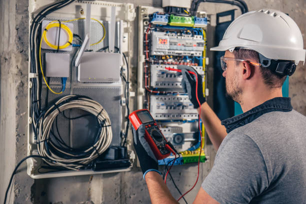 Best Residential Electrician Services  in La Grulla, TX