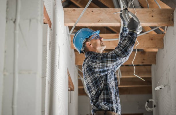 Best Ceiling Fan Installation Electrician  in La Grulla, TX