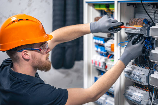 Best Electrical System Inspection  in La Grulla, TX