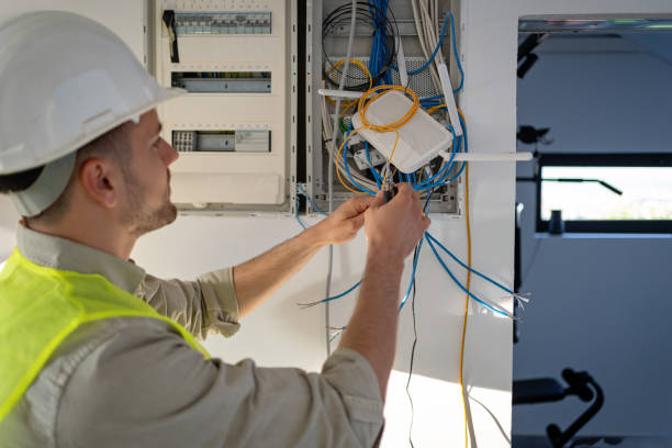 Best Electrical Repair Services  in La Grulla, TX